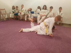 Aikido seminar Divčibare 2017